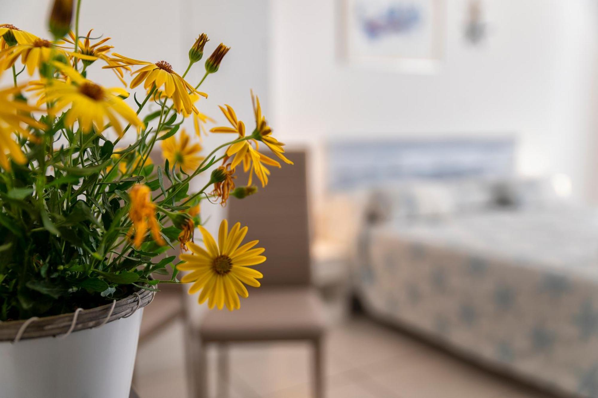 Bed & Breakfast Horizon